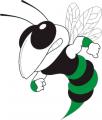 Hemphill Independent School District - Hemphill , Texas